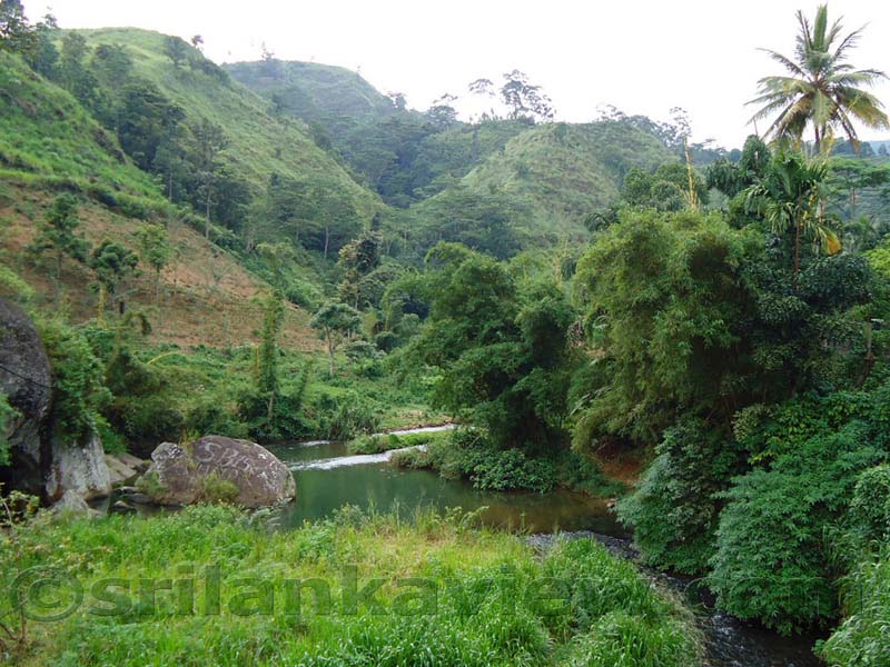 Along the route to Hulu Ganga from  Kandy