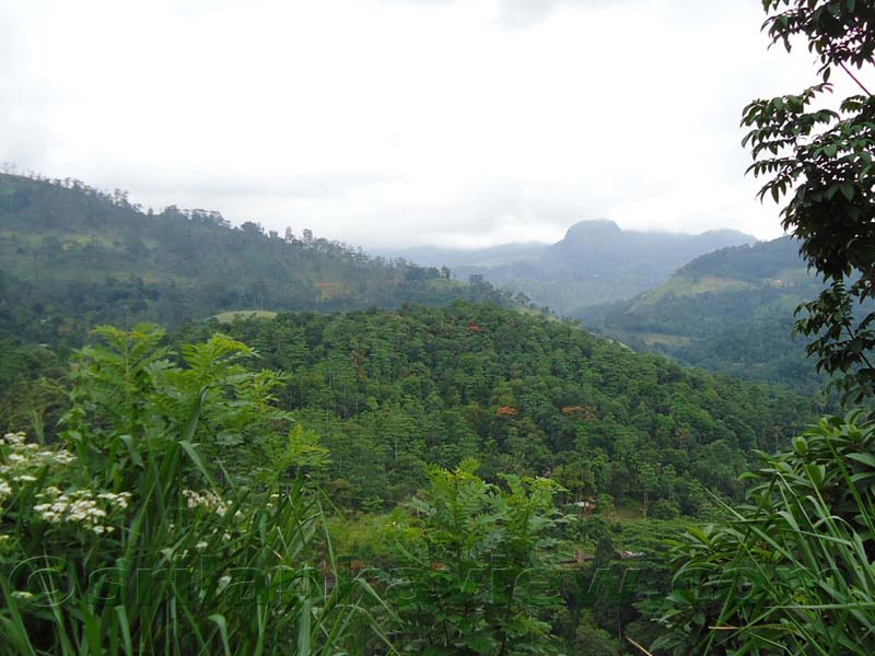 Along the route to Hulu Ganga from  Kandy