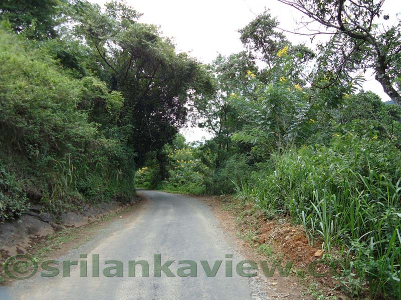 Riverston Rainy Season