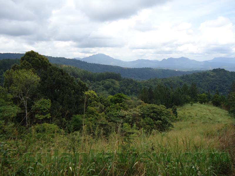 Riverston Rainy Season