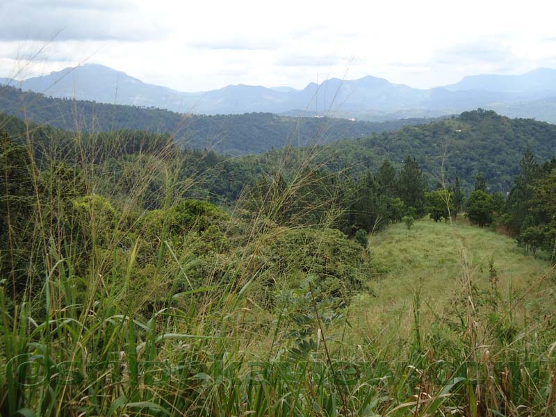 Riverston Rainy Season