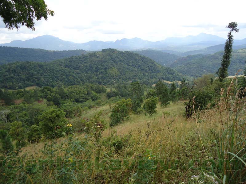 Riverston Rainy Season