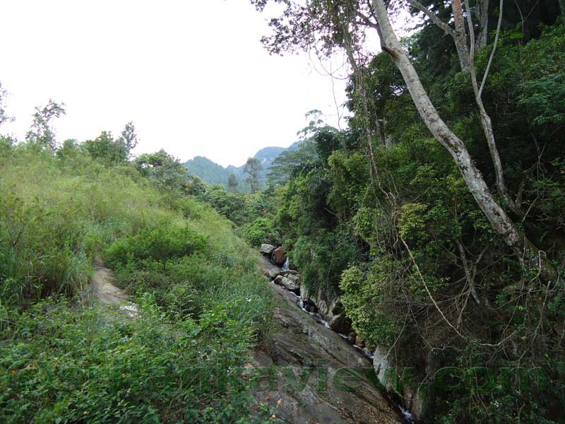 Riverston Rainy Season