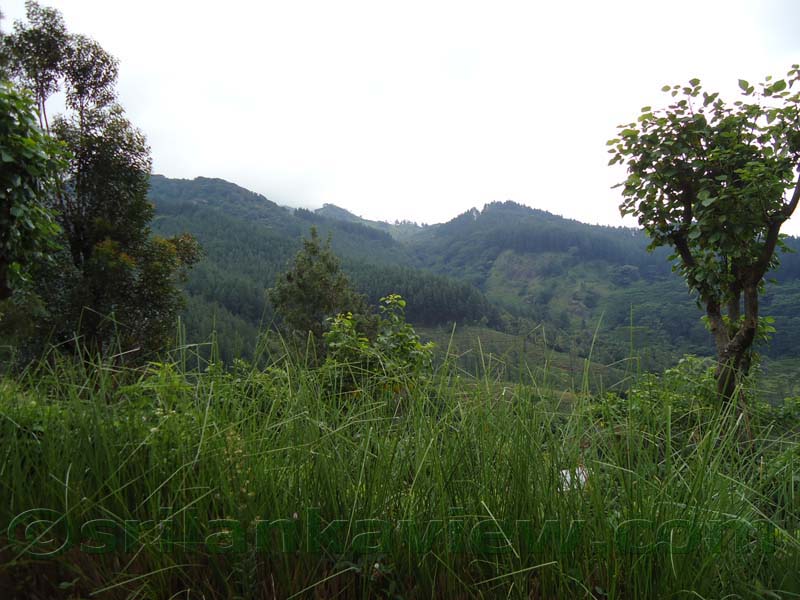 Riverston Rainy Season