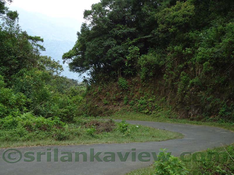 Riverston Rainy Season