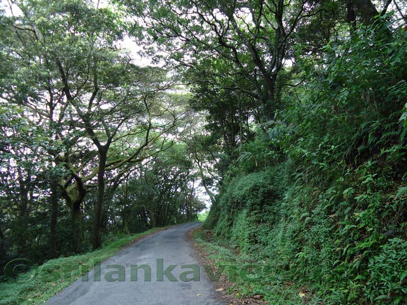 Riverston Rainy Season