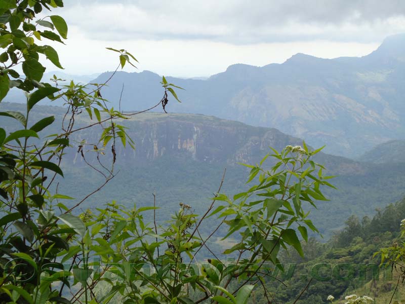 Riverston Rainy Season