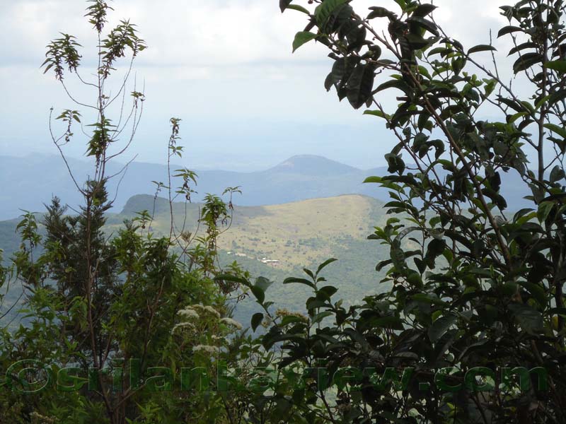 Riverston Rainy Season