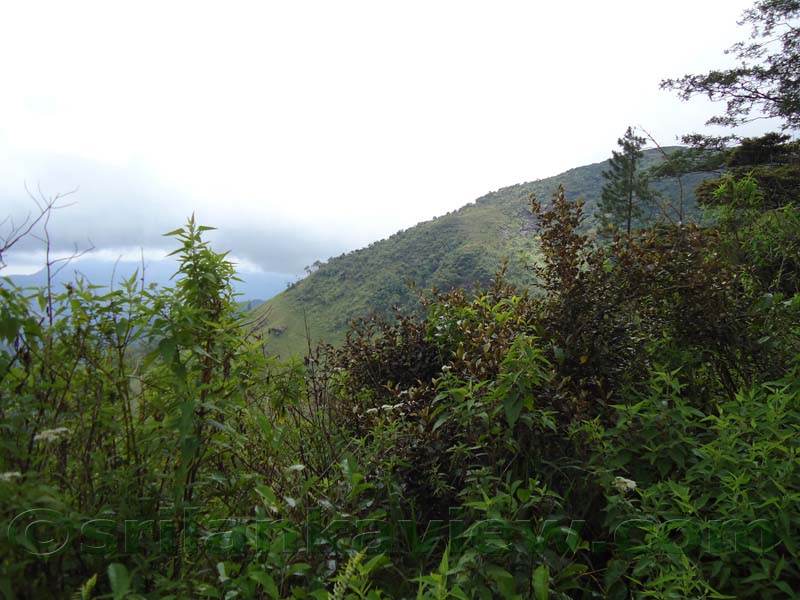 Riverston Rainy Season