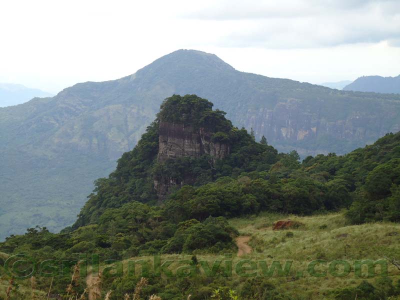Riverston Rainy Season