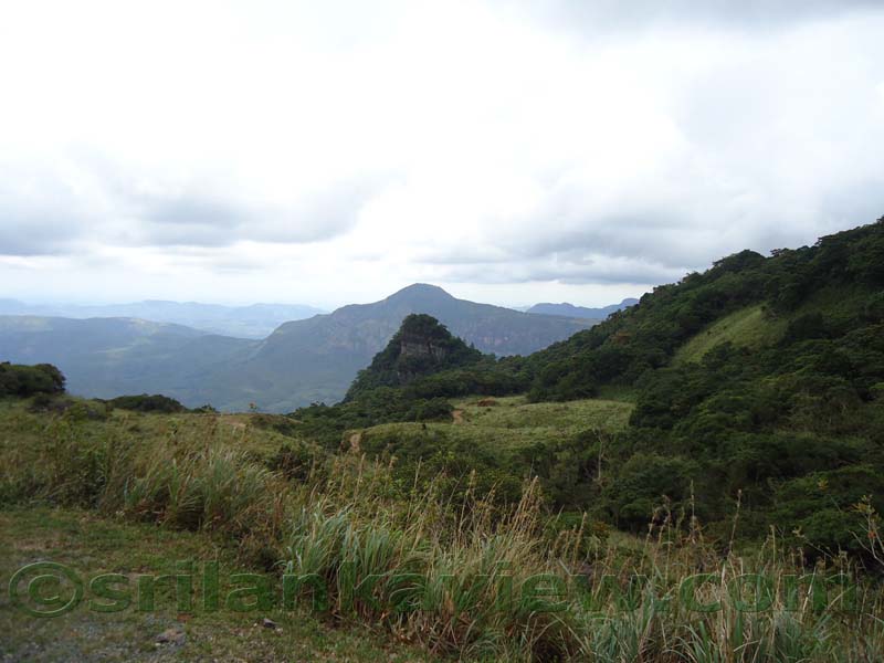 Riverston Rainy Season