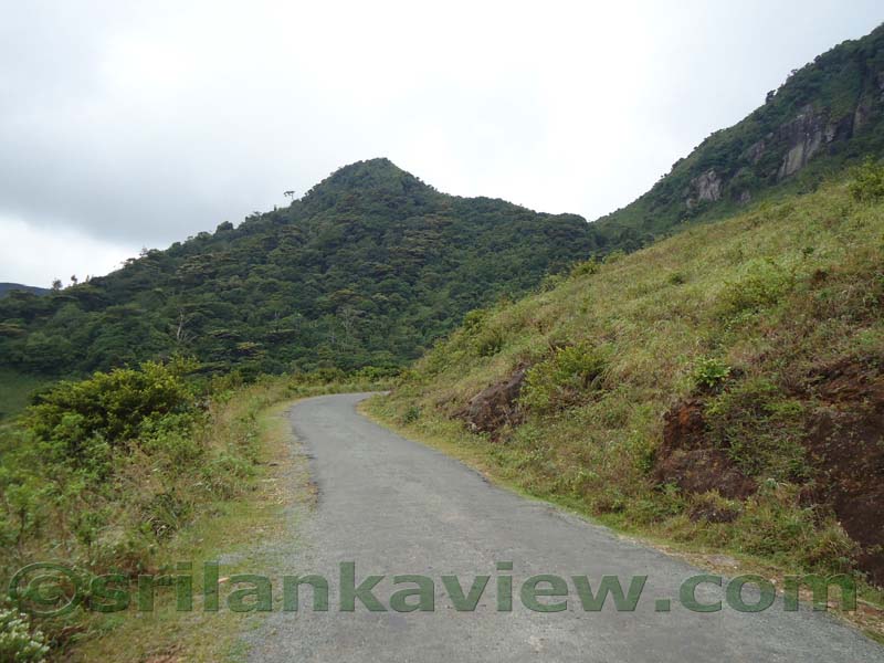 Riverston Rainy Season