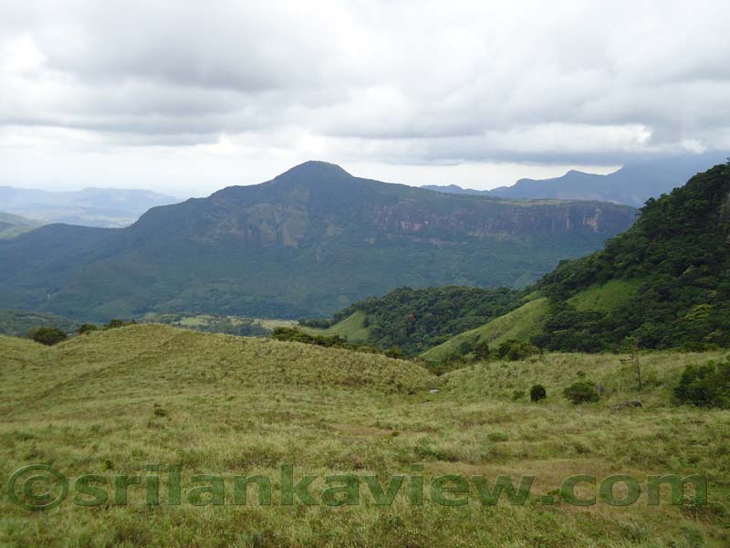 Riverston Rainy Season