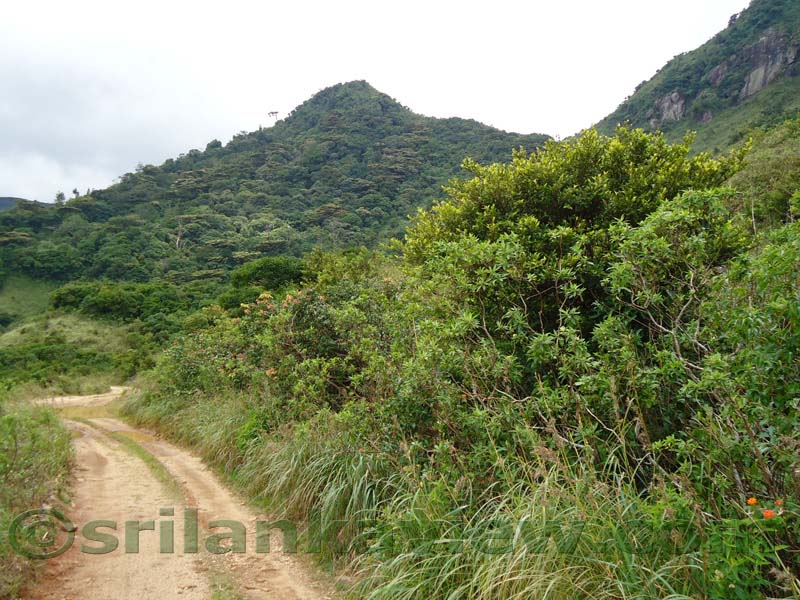 Riverston Rainy Season