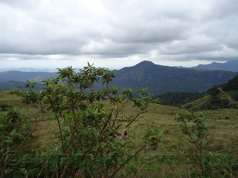 Riverston Rainy Season