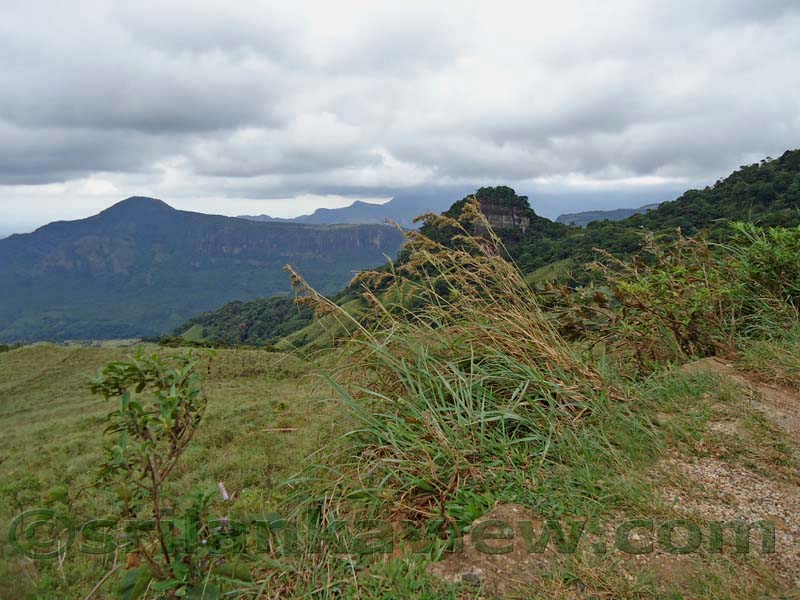 Riverston Rainy Season