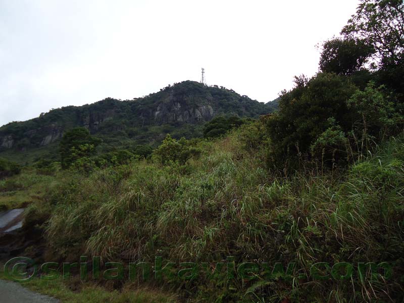 Riverston Rainy Season