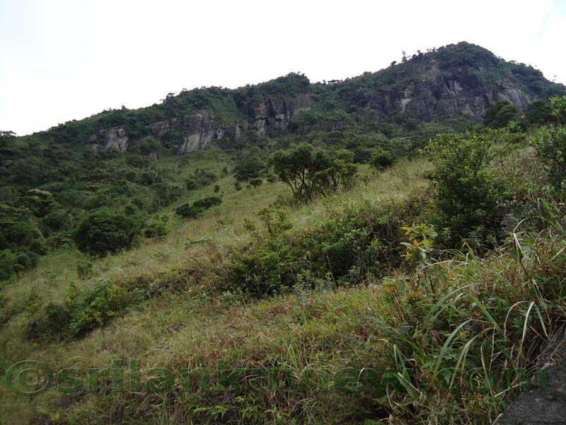 Riverston Rainy Season