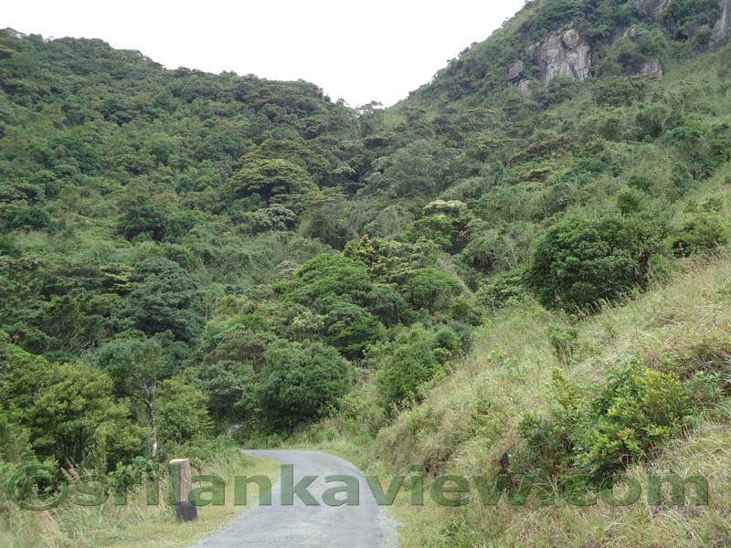 Riverston Rainy Season