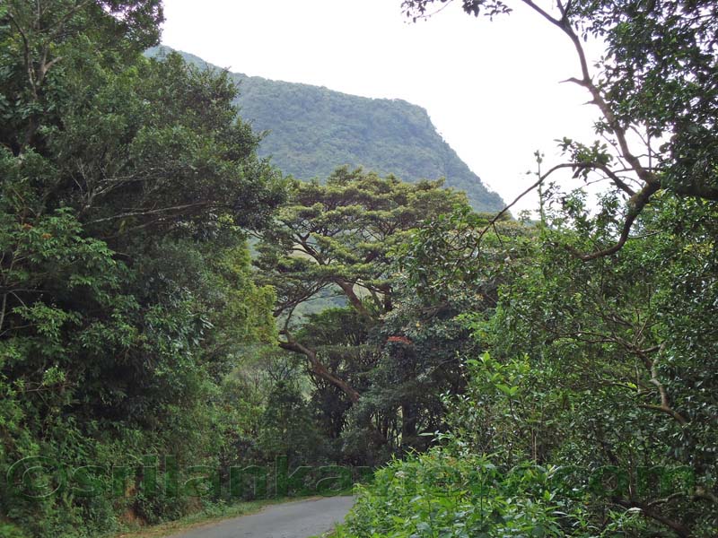 Riverston Rainy Season