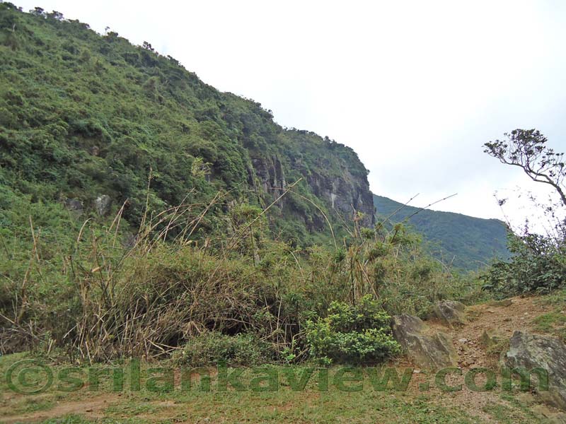 Riverston Rainy Season