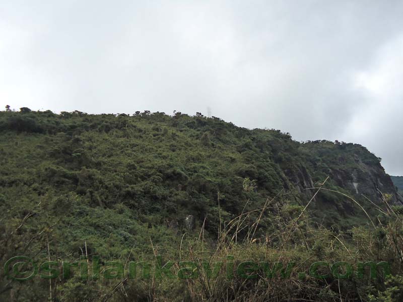 Riverston Rainy Season