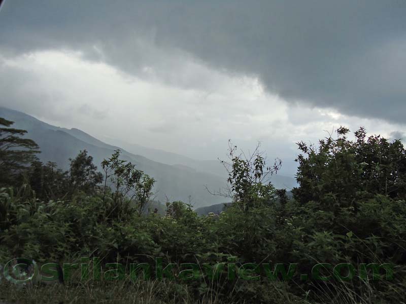 Riverston Rainy Season