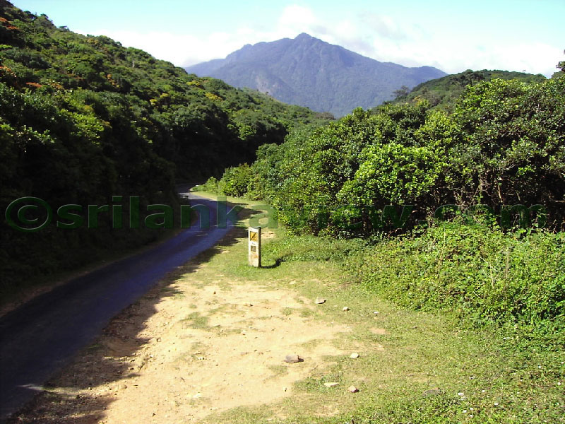 Approaching Matale from Kandy Motor way.