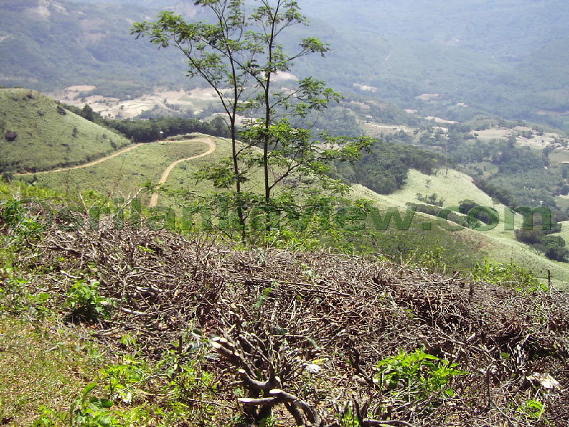 Approaching Matale from Kandy Motor way.