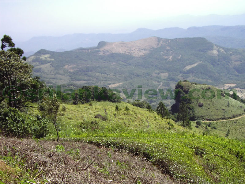 Approaching Matale from Kandy Motor way.