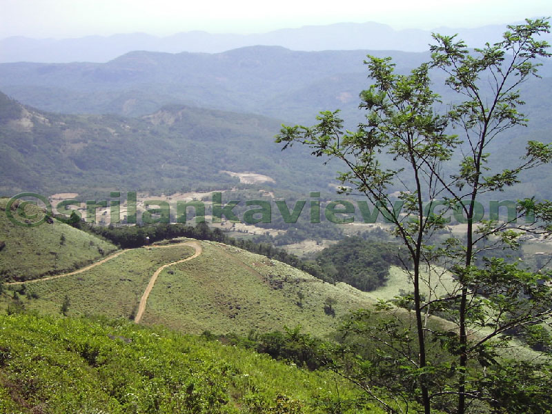 Approaching Matale from Kandy Motor way.