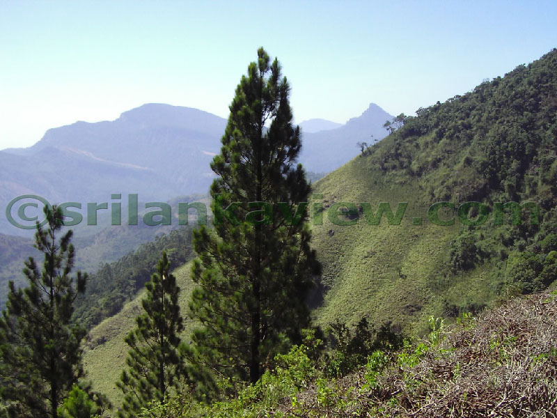 Approaching Matale from Kandy Motor way.