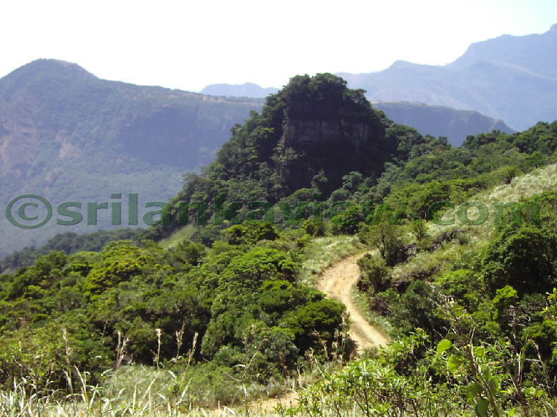 Approaching Matale from Kandy Motor way.