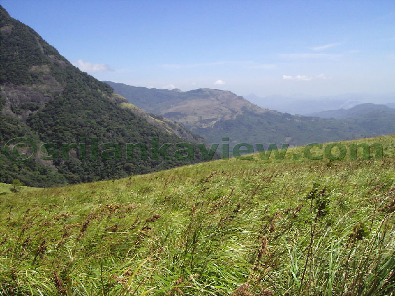 Approaching Matale from Kandy Motor way.