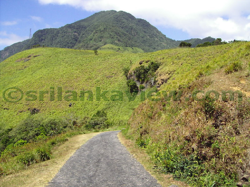Approaching Matale from Kandy Motor way.