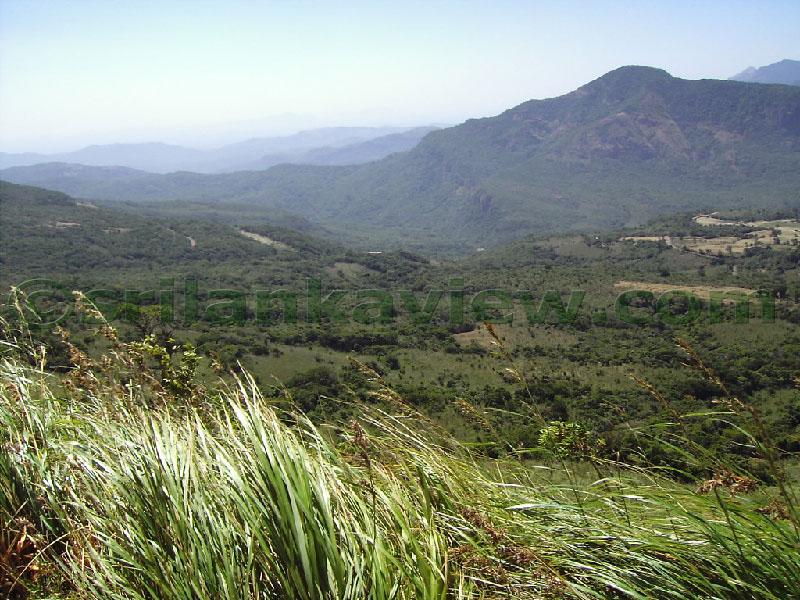 Approaching Matale from Kandy Motor way.