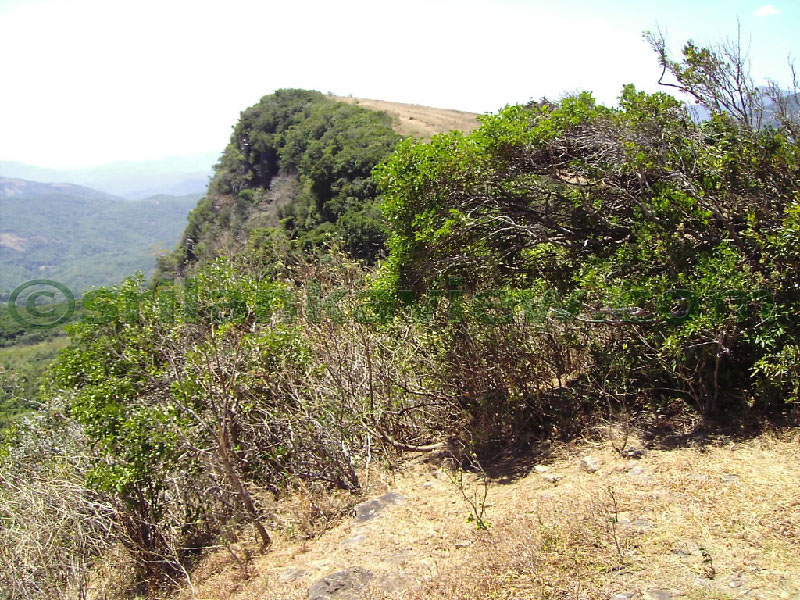 Approaching Matale from Kandy Motor way.