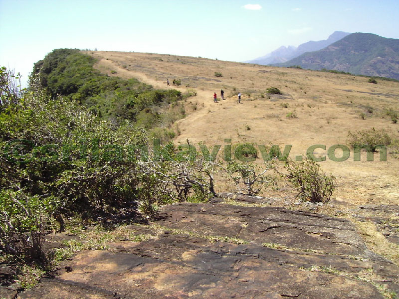 Approaching Matale from Kandy Motor way.
