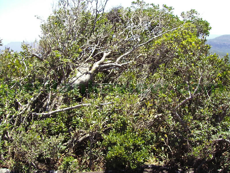 Approaching Matale from Kandy Motor way.
