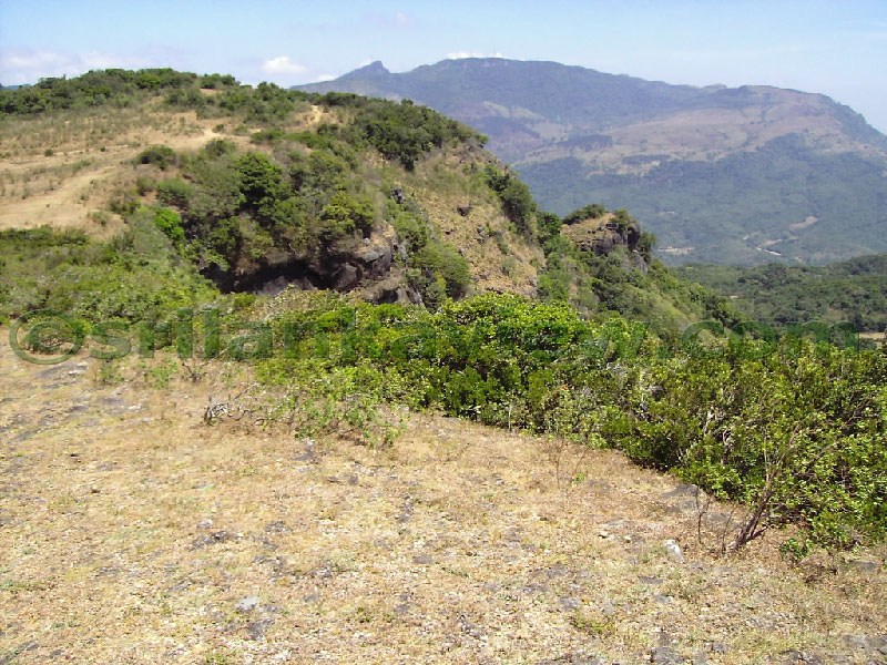 Approaching Matale from Kandy Motor way.