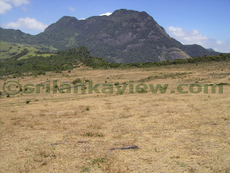 Approaching Matale from Kandy Motor way.
