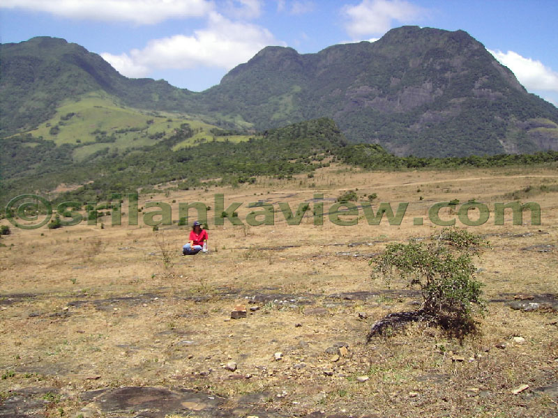 Approaching Matale from Kandy Motor way.