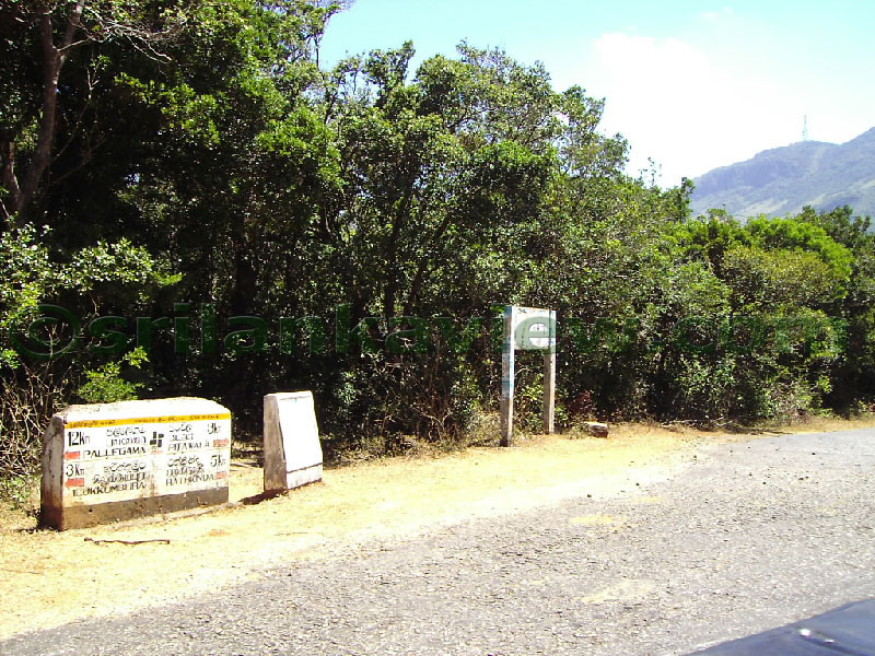 Approaching Matale from Kandy Motor way.