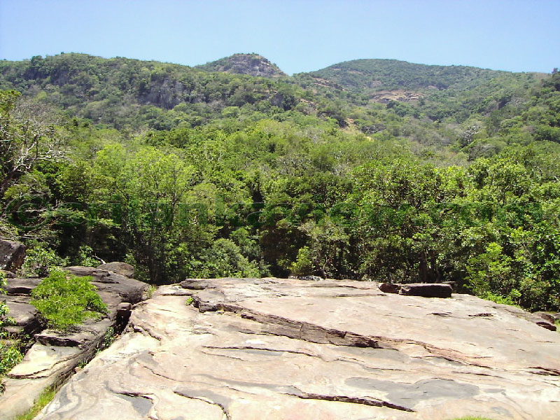 Approaching Matale from Kandy Motor way.