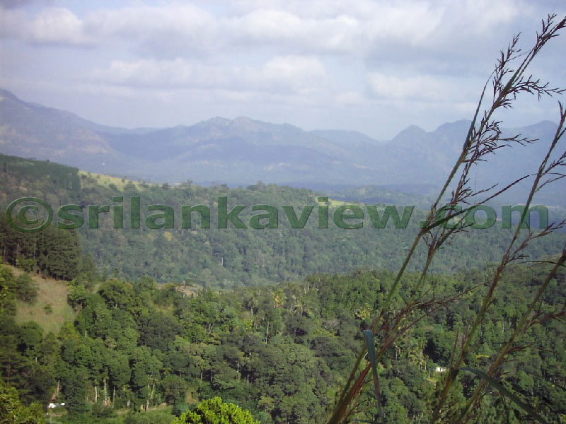 Approaching Matale from Kandy Motor way.