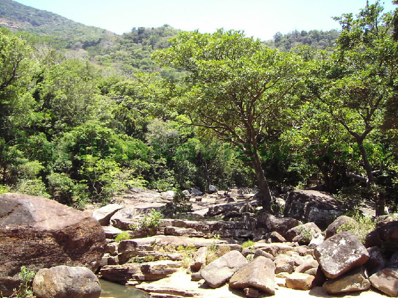 Approaching Matale from Kandy Motor way.