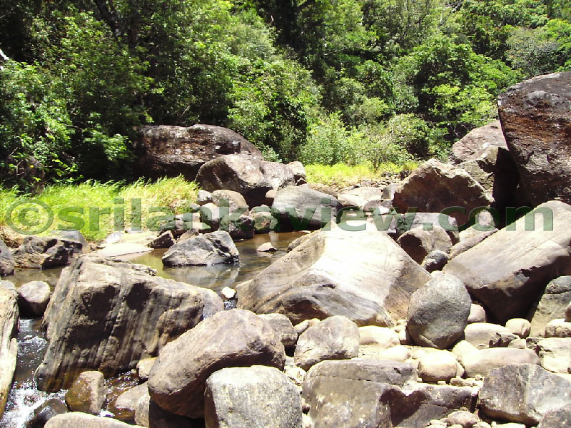Approaching Matale from Kandy Motor way.