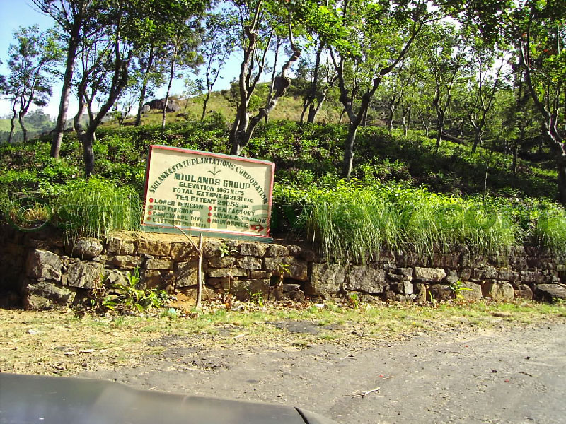 Approaching Matale from Kandy Motor way.