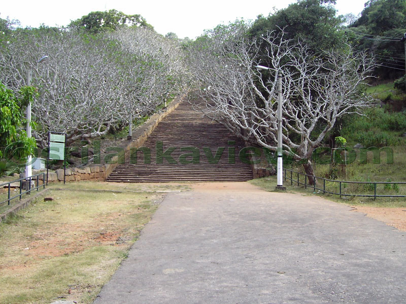 The Ancient Stairway made out of Stone slabs from ground level to mid terrace at Dana Salawa consists of 1840 steps.