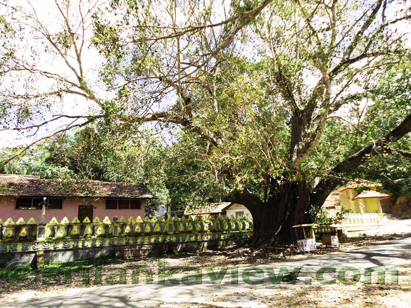 Mulkirigala  Temple